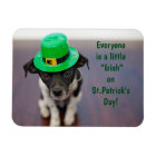 A Little Irish Pup