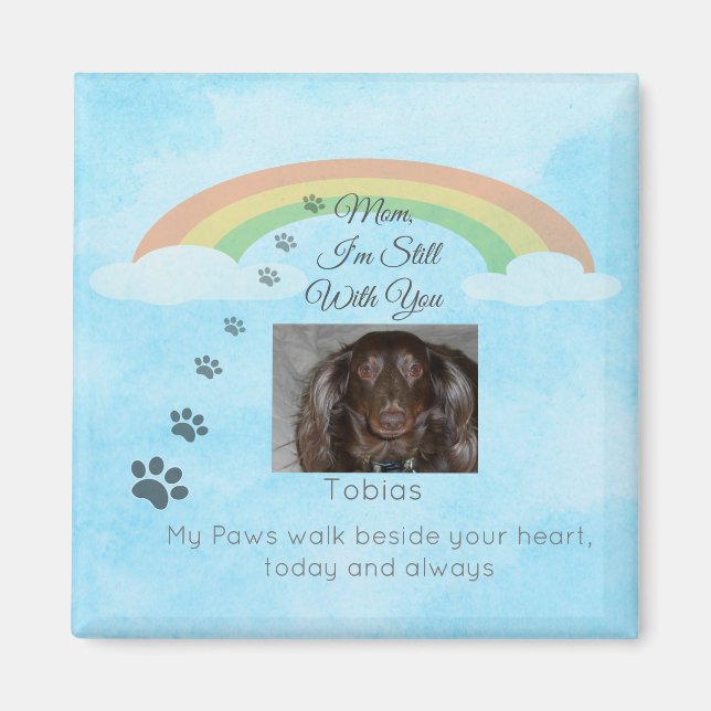 A Little Light Beyond the Rainbow Magnet (Front)