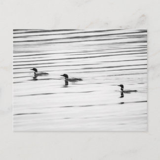 A Little Loony - Postcard