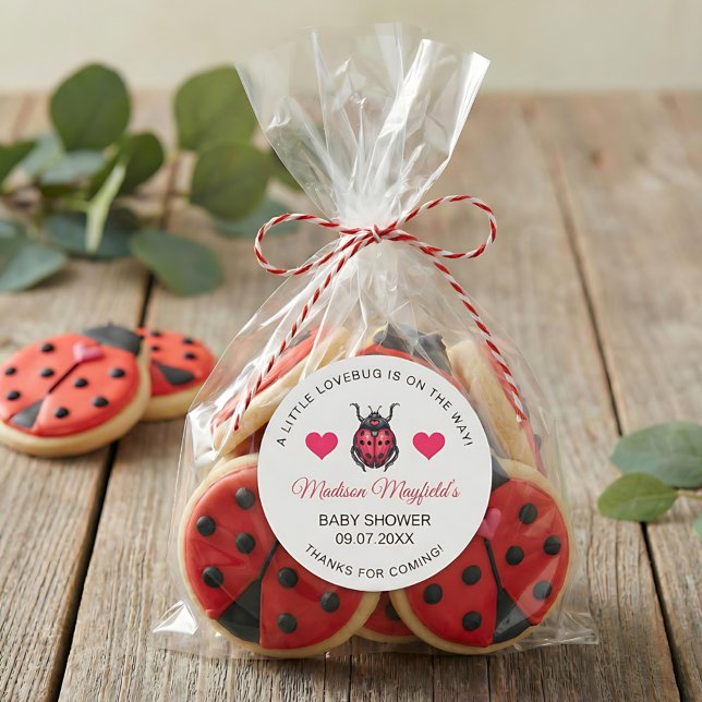 A Little Love Bug Is On The Way Ladybug Classic Round Sticker (Creator Uploaded)