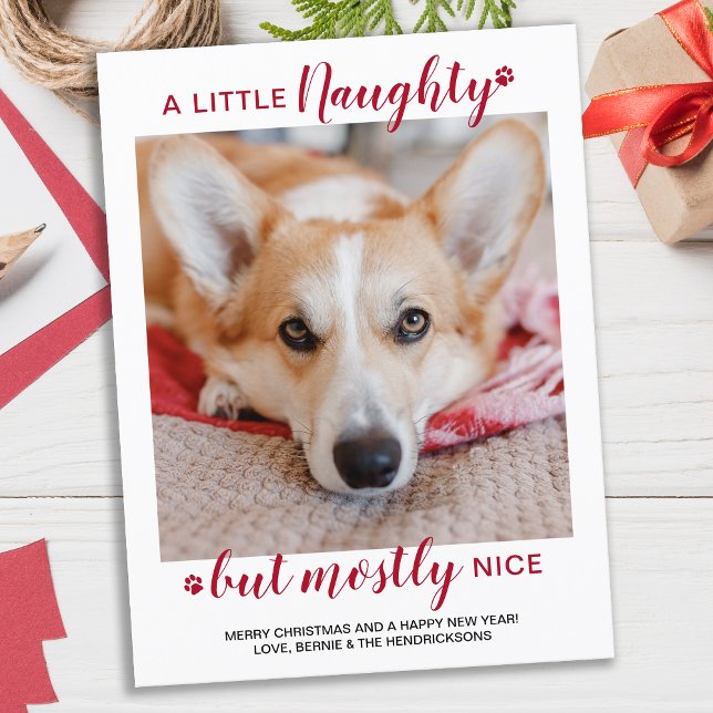 A Little Naughty Personalised Dog Pet Photo Holida Postcard (Creator Uploaded)
