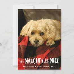 A Little Naughty | Vertical | Photo Holiday Card