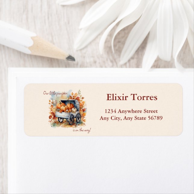 A Little Pumpkin Fall Baby Shower | Gender Neutral (Insitu)