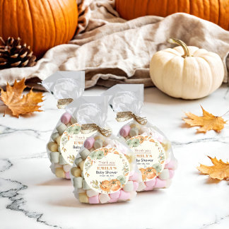 A Little Pumpkin is on the Way - Baby Shower Classic Round Sticker