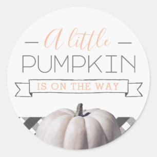 A Little Pumpkin Is On the Way Fall Baby Shower Classic Round Sticker