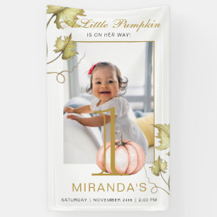 A Little Pumpkin Photo First Birthday Party Banner