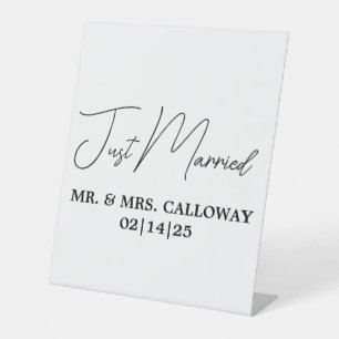 A Little Retro Just Married Pedestal Sign