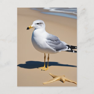 A little seagull on a pretty beach surrounded by g postcard