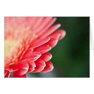 A Little Shy