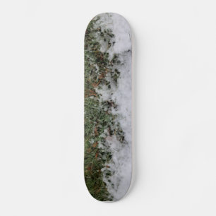 A Little Snow Skateboard