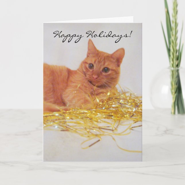 A Little Sparkle Cat Holiday Greeting Card (Front)