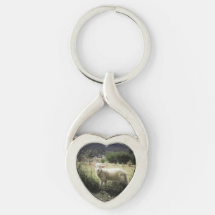 a little white lamb behind a fence in a field key ring