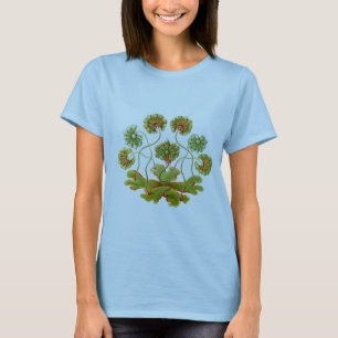 A Liverwort T-Shirt