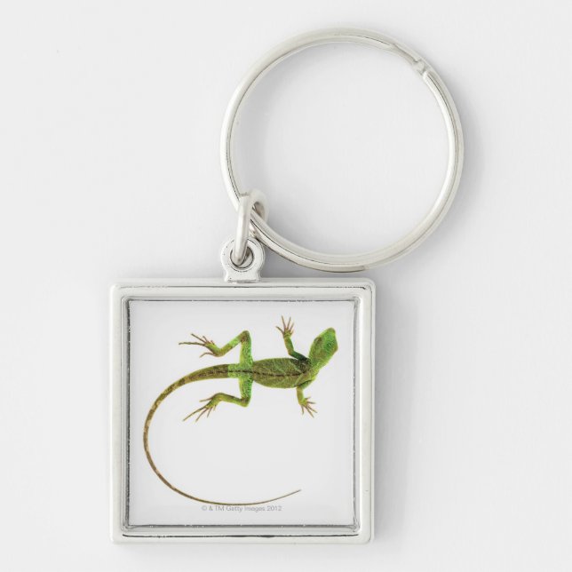 A lizard on pure white ground key ring (Front)