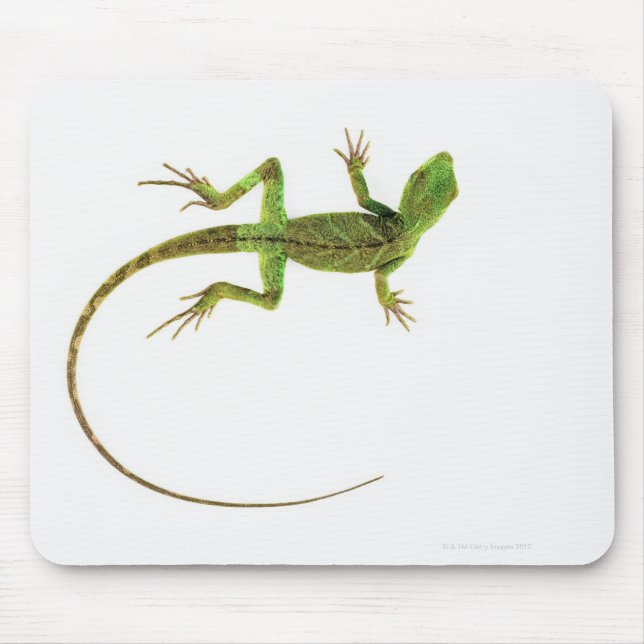 A lizard on pure white ground mouse mat (Front)