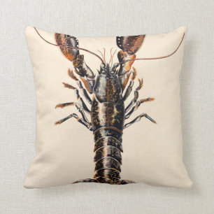 A Lobster from Solva Cushion