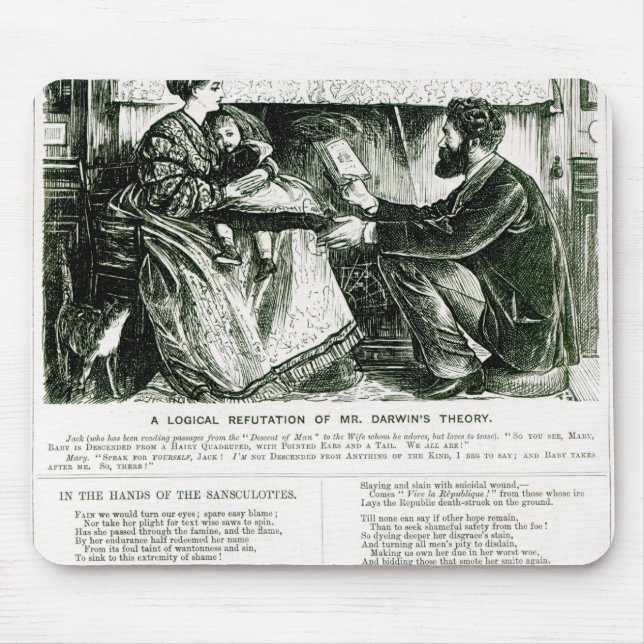 A Logical Refutation of Mr. Darwin's Theory Mouse Mat (Front)