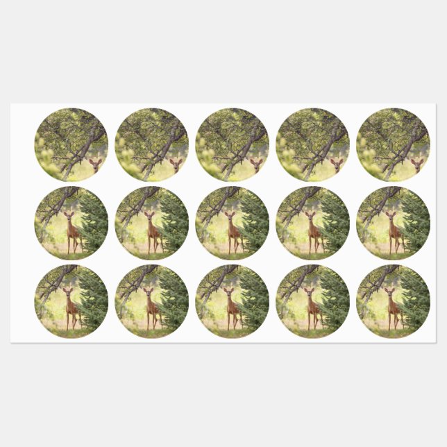 A Lone Deer  (Sheet)