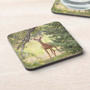 A Lone Deer Coaster