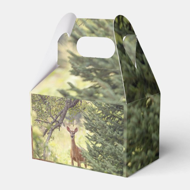 A Lone Deer  Favour Box (Front Side)