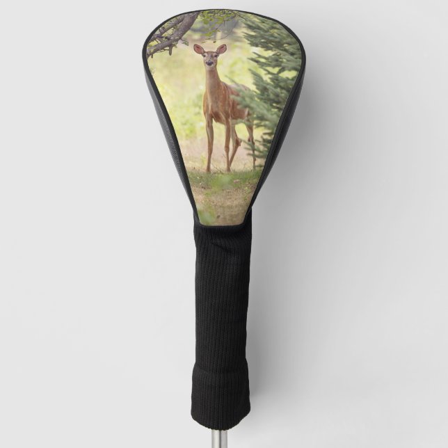 A Lone Deer  Golf Head Cover (Front)