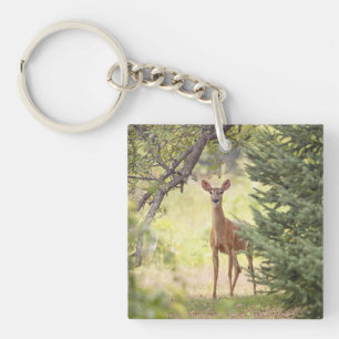 A Lone Deer Key Ring