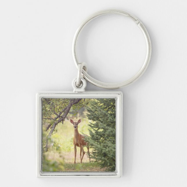 A Lone Deer  Key Ring (Front)