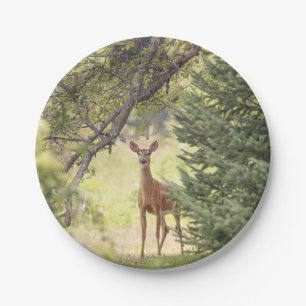 A Lone Deer Paper Plate