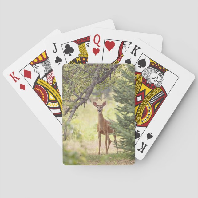 A Lone Deer  Playing Cards (Back)