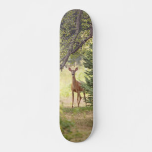 A Lone Deer Skateboard