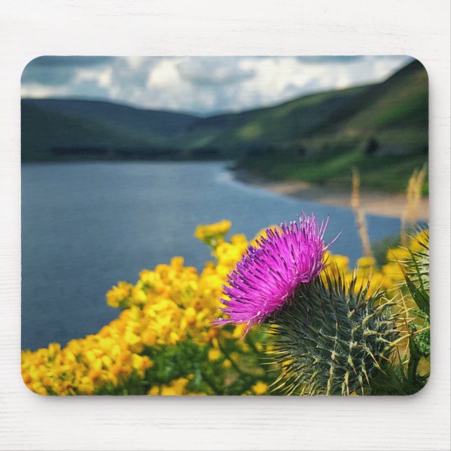 A lone thistle overlooking Megget Reservoir Mouse Mat (Front)