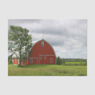A Lone Tree Guarding a Snazzy Red Barn Tissue Paper