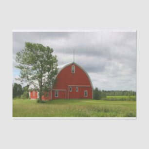 A Lone Tree Guarding a Snazzy Red Barn Tissue Paper