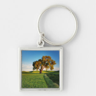 A lone tree surrounded by rolling hills of wheat key ring