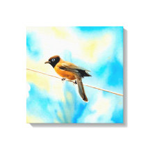 A lonely colourful bird