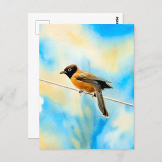 A lonely colourful bird postcard