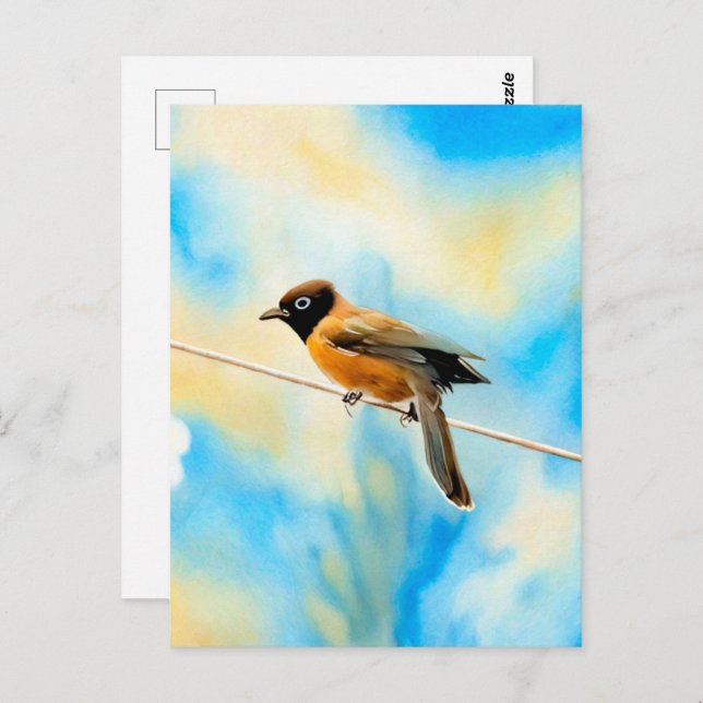 A lonely colourful bird postcard (Front/Back)