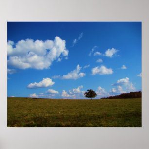 A lonely tree poster