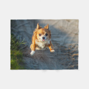 A long haired brown and white Chihuahua Running Fleece Blanket