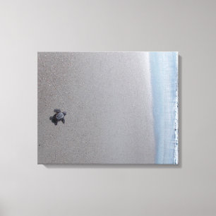 A Long Journey Canvas Print