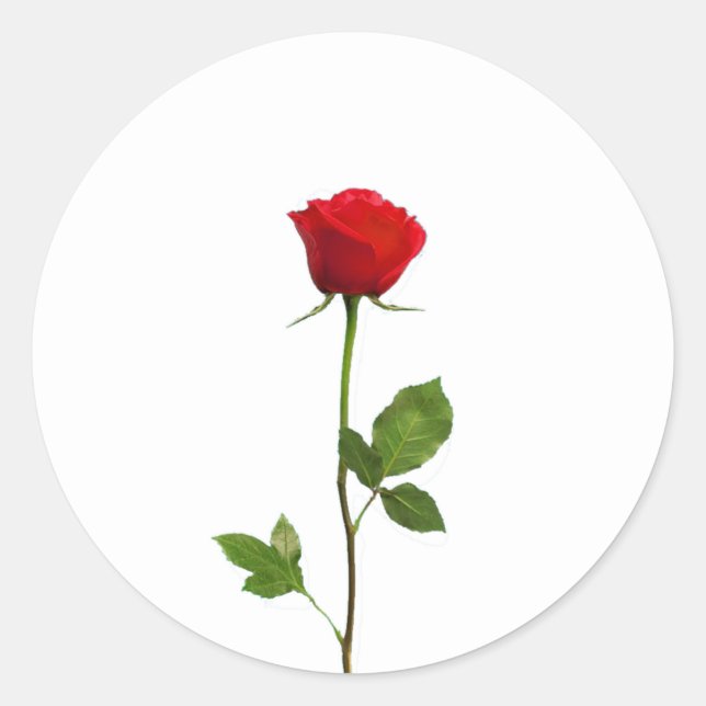 A LONG STEM RED ROSE CLASSIC ROUND STICKER (Front)