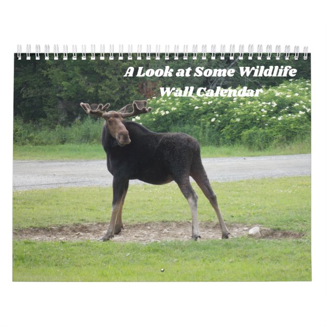 A Look at Some Wildlife Wall Calendar (Cover)