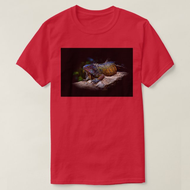 A Lounging Montanita Iguana T-Shirt (Design Front)