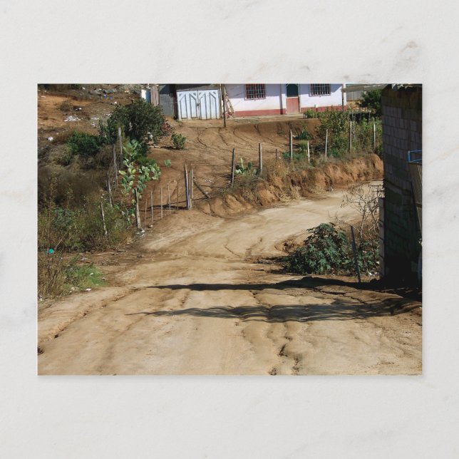 A Lovely Day In The Neighbourhood Postcard (Front)