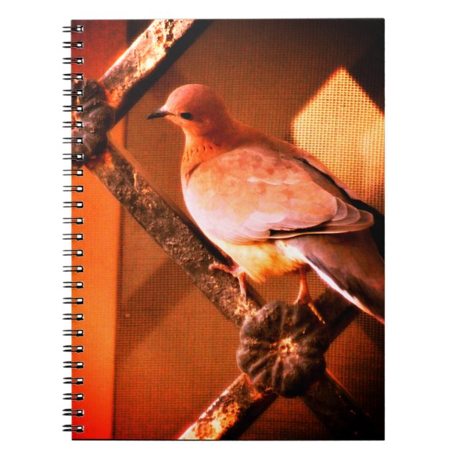 A Lovely Dove  Notebook (Front)