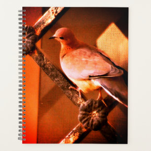 A Lovely Dove Planner