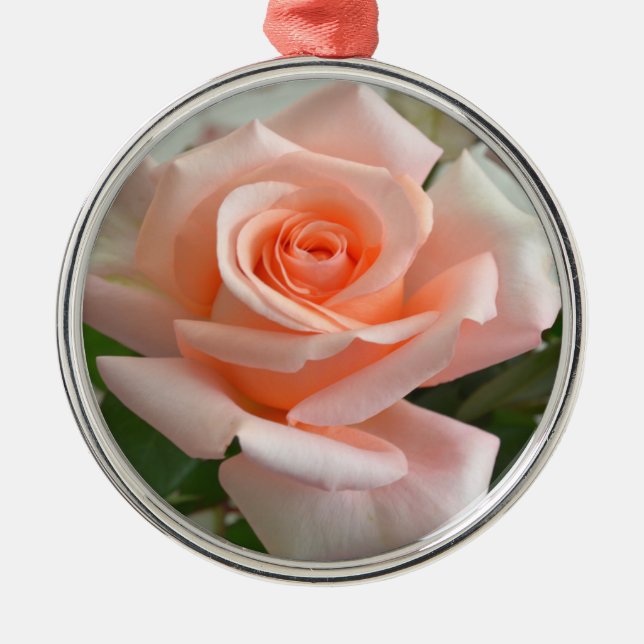 A Lovely Pink Rose Premium Round Ornament (Front)