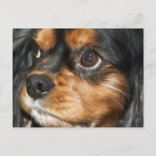 A Loyal Dog Cavalier King Charles Spaniel Postcard