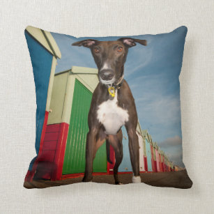 lurcher cushion