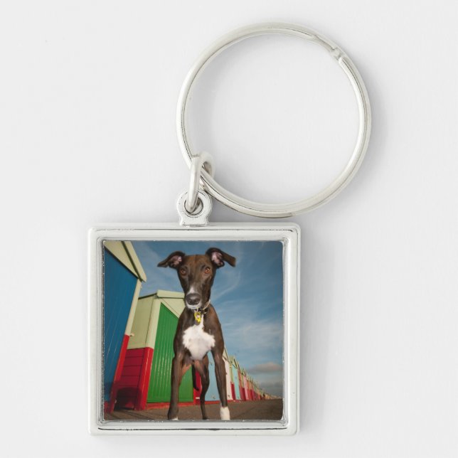 A Lurcher Standing In Front Of Some Beach Huts Key Ring (Front)